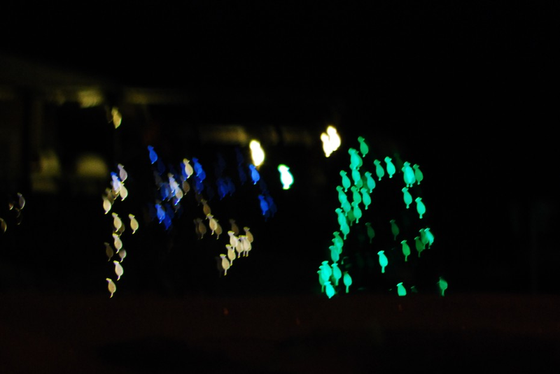 Illustration for article titled Shooting Challenge: Bokeh, Gallery 3